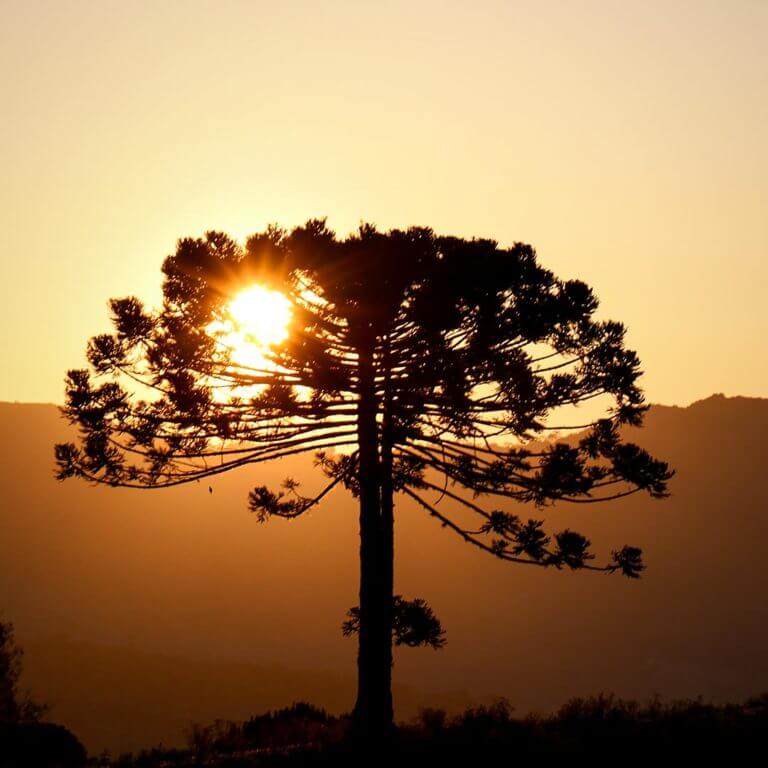 Pôr do sol Santa Catarina