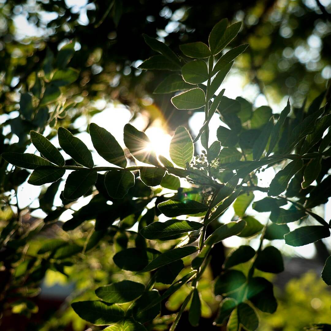 Sol Pousada Santa Catarina